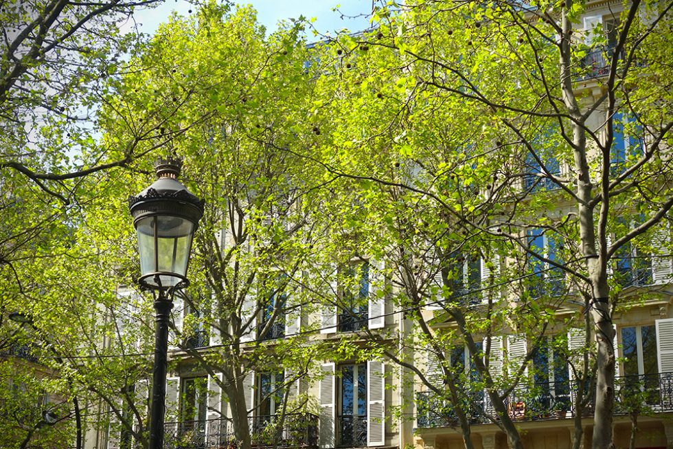 Springtime in Paris