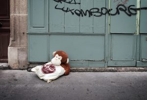 Homeless monkey